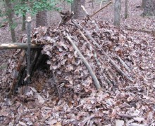 Front view of debris shelter before being stuffed with leaves and door.