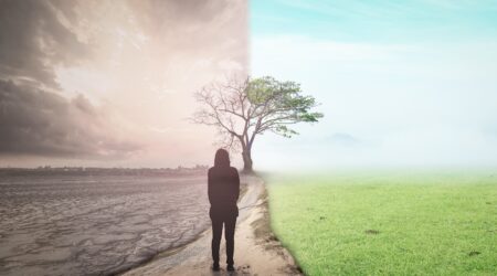 a person standing at the edge of a drought wasteland and a vibrant green area