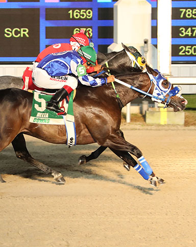 delta downs racing image