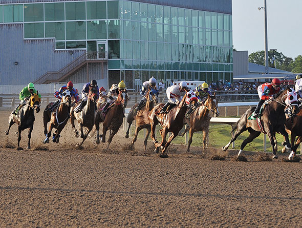 horses racing image