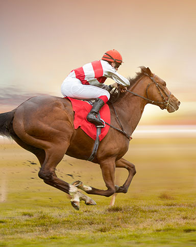 horse running image