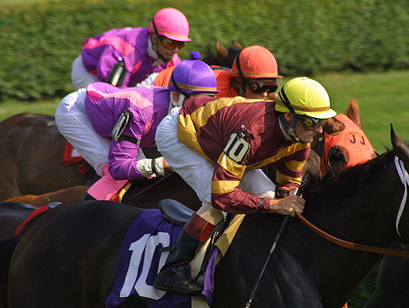 horse racing image