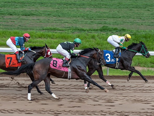 horse racing image