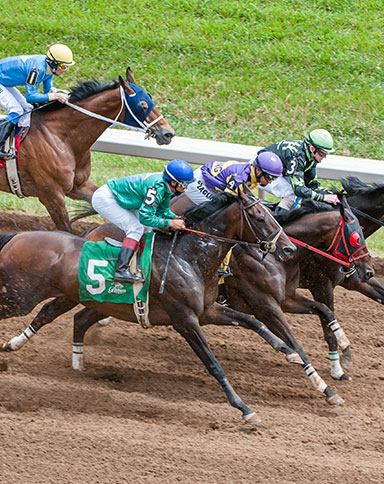 horse racing image