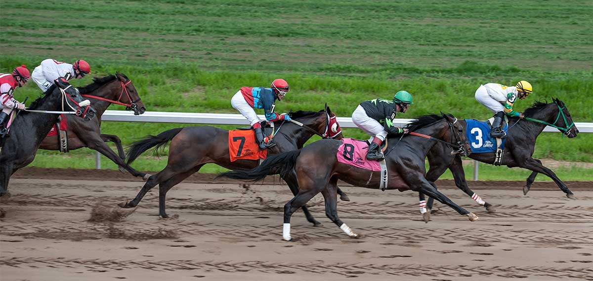 horse racing image