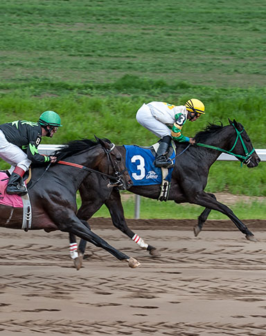 horse racing image