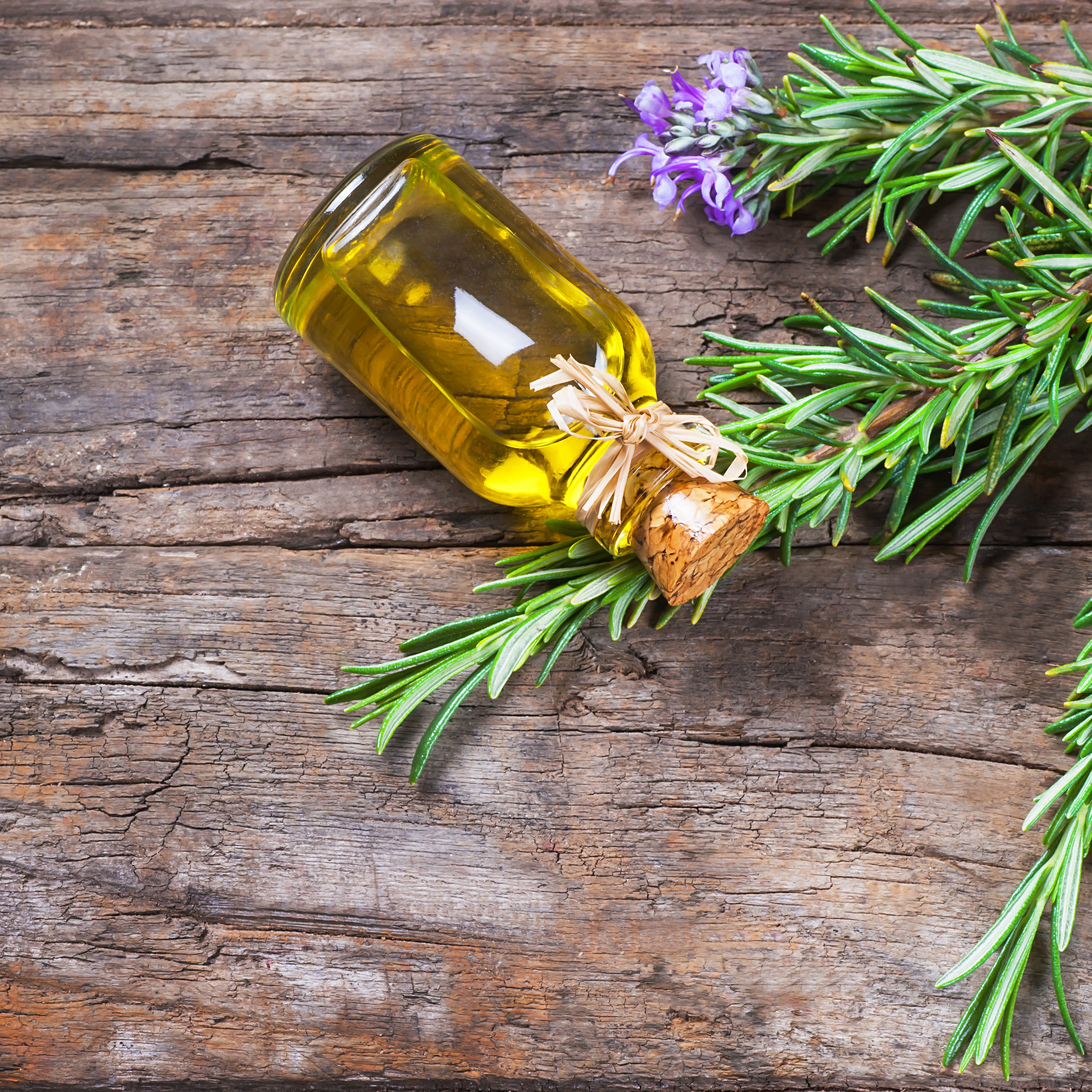 Olio e acqua di rosmarino: guida all'ingrediente che farà magie sui tuoi capelli