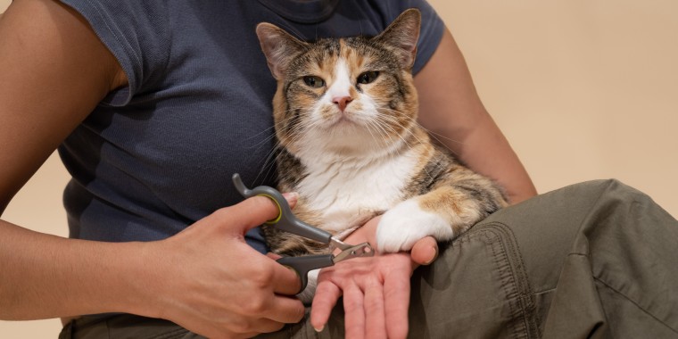 The best nail trimmers will be the right size for both your hands and your cat’s claws.