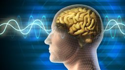 Different kind of waveforms produced by brain activity.