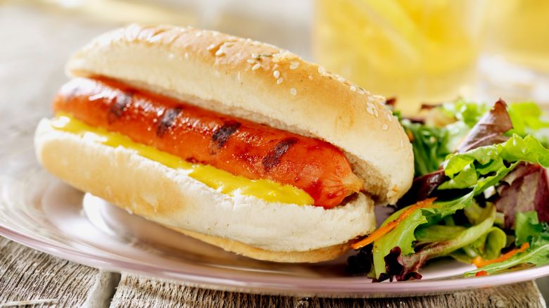 BBQ Hotdog with Spring Salad at a Picnic