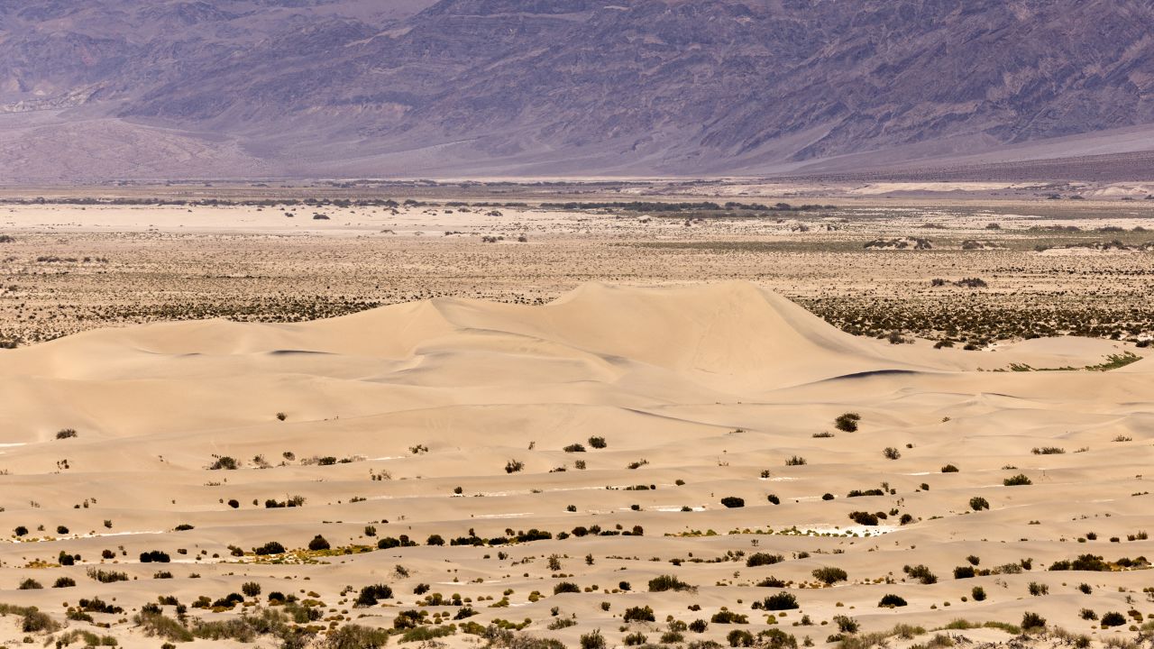 The Mesquite Flat Sand Dunes are seen in Death Valley National Park, near Furnace Creek, during a heatwave impacting Southern California on July 7, 2024. Temperatures in Death Valley could reach as high as 130 degrees Farenheit (54 degrees Celsius) on Sunday, according to US National Weather Service. (Photo by ETIENNE LAURENT / AFP) (Photo by ETIENNE LAURENT/AFP via Getty Images)