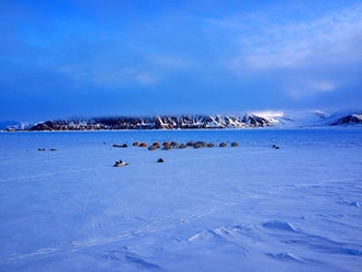 A Letter from the Arctic: Hello From the Frozen North