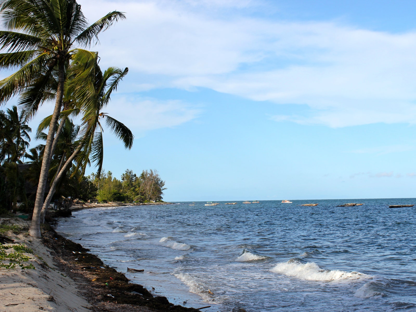 This image may contain Summer Tropical Ocean Outdoors Nature Water and Sea