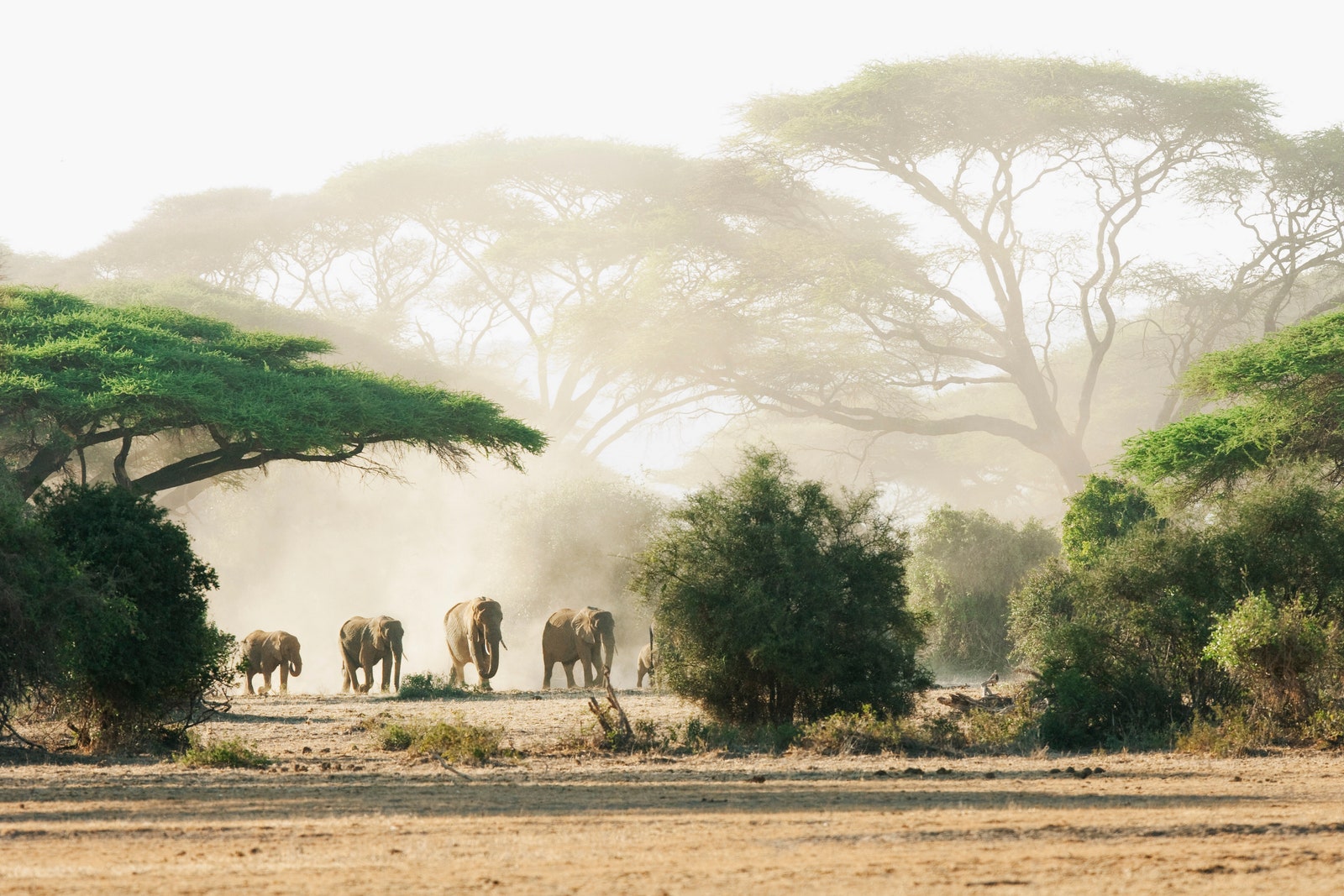 What to Pack for a Safari