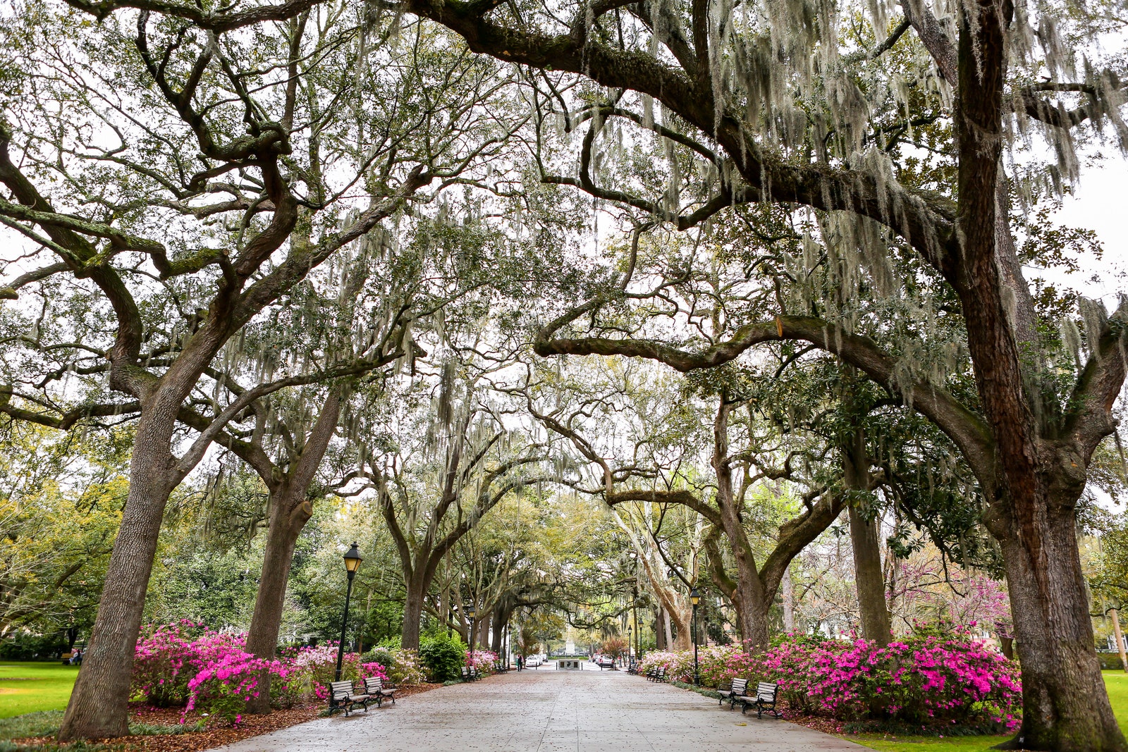 Savannah Travel Guide