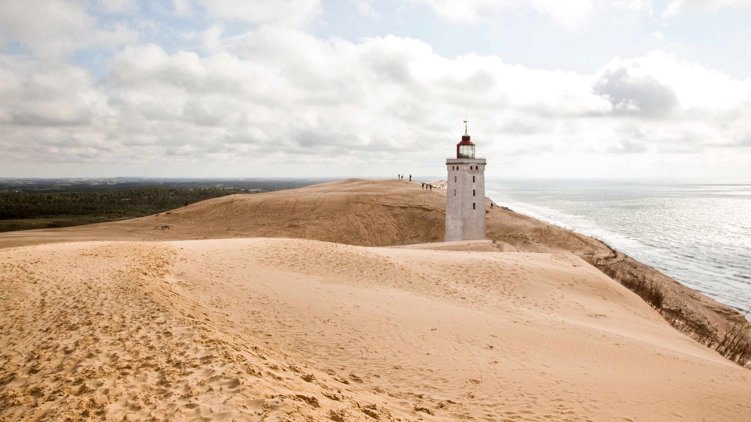 Rubjerg Knude