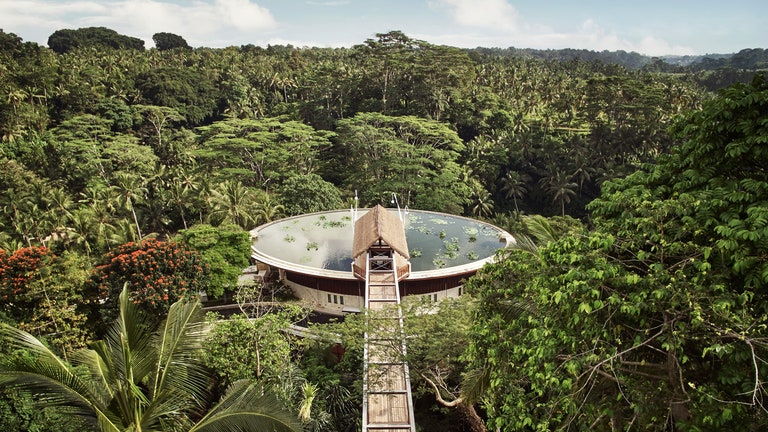 9 Rainforest Resorts That Put You Right in the Jungle