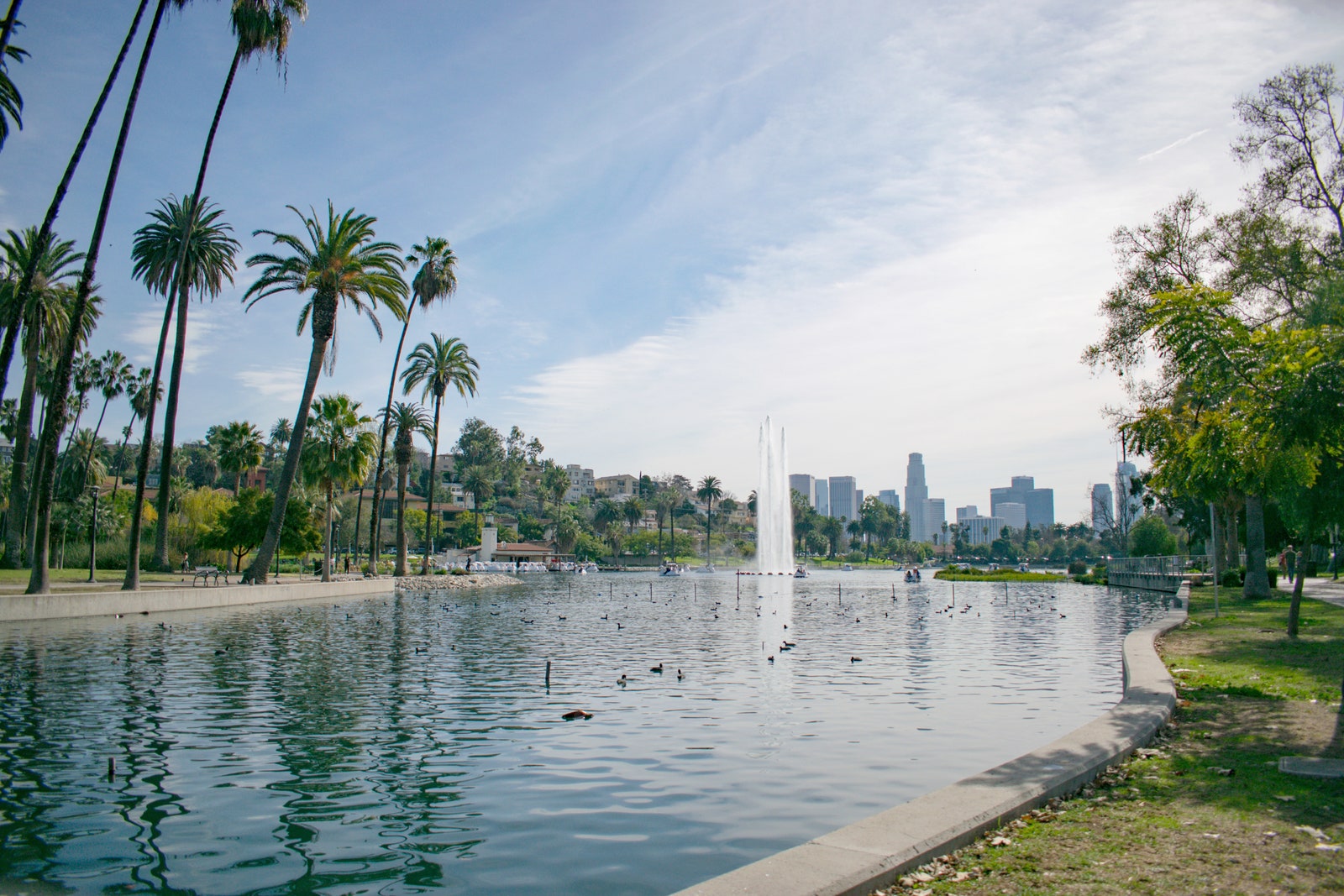 Echo Park Lake