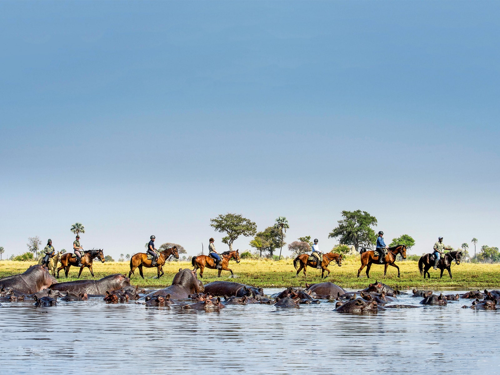 In the Okavango Delta, Horseback Safaris Offer a Whole New Perspective