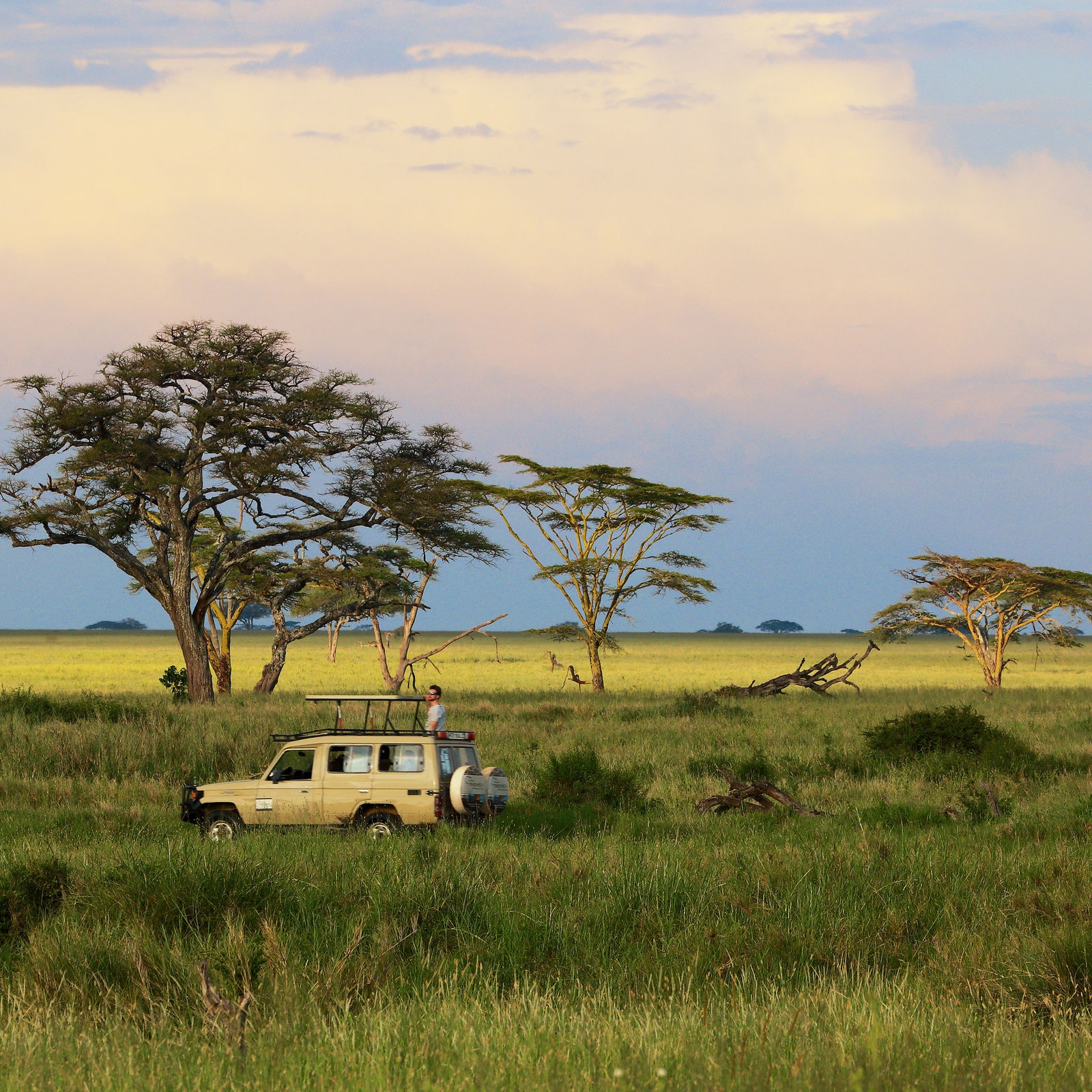 I’m a Safari Guide&-And Coronavirus Will Change the Future of Safaris