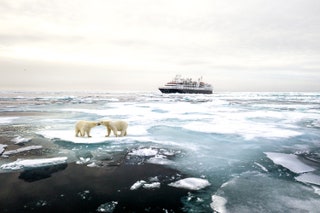 Image may contain Transportation Vehicle Boat Animal Bear Wildlife Mammal and Polar Bear