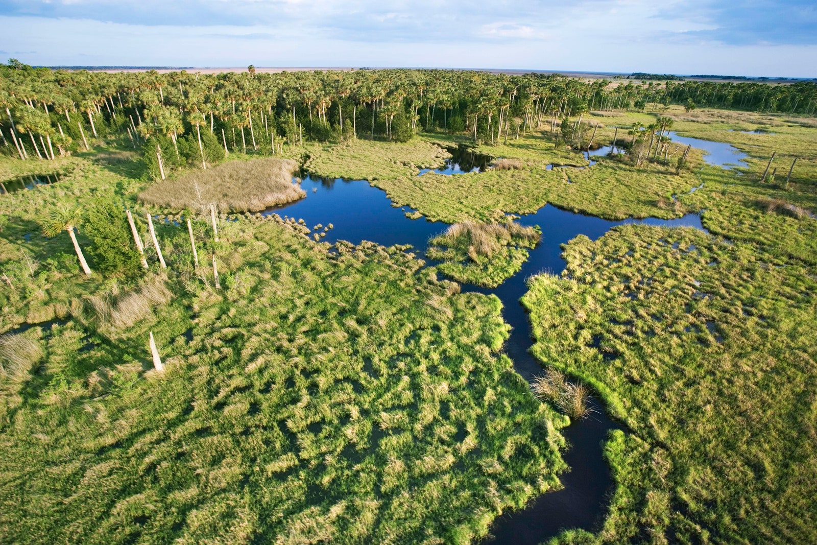 A Four-Day Florida Road Trip Through Three National Parks