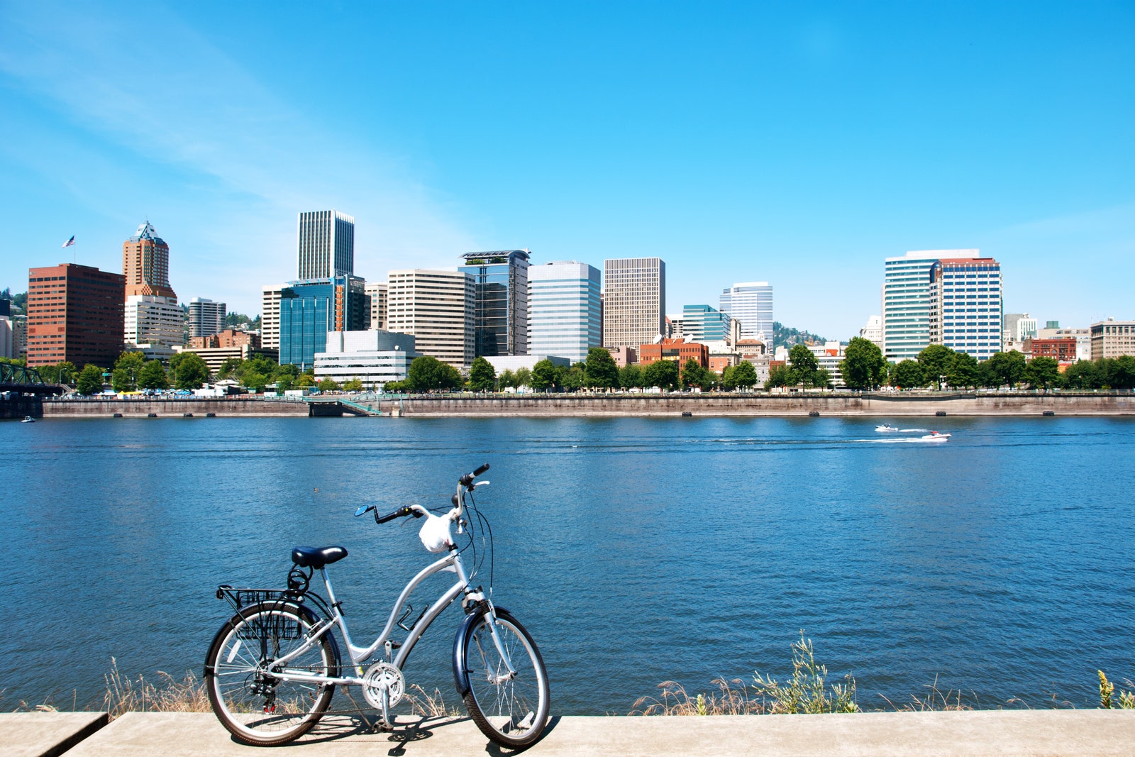 Pedal Bike Tours