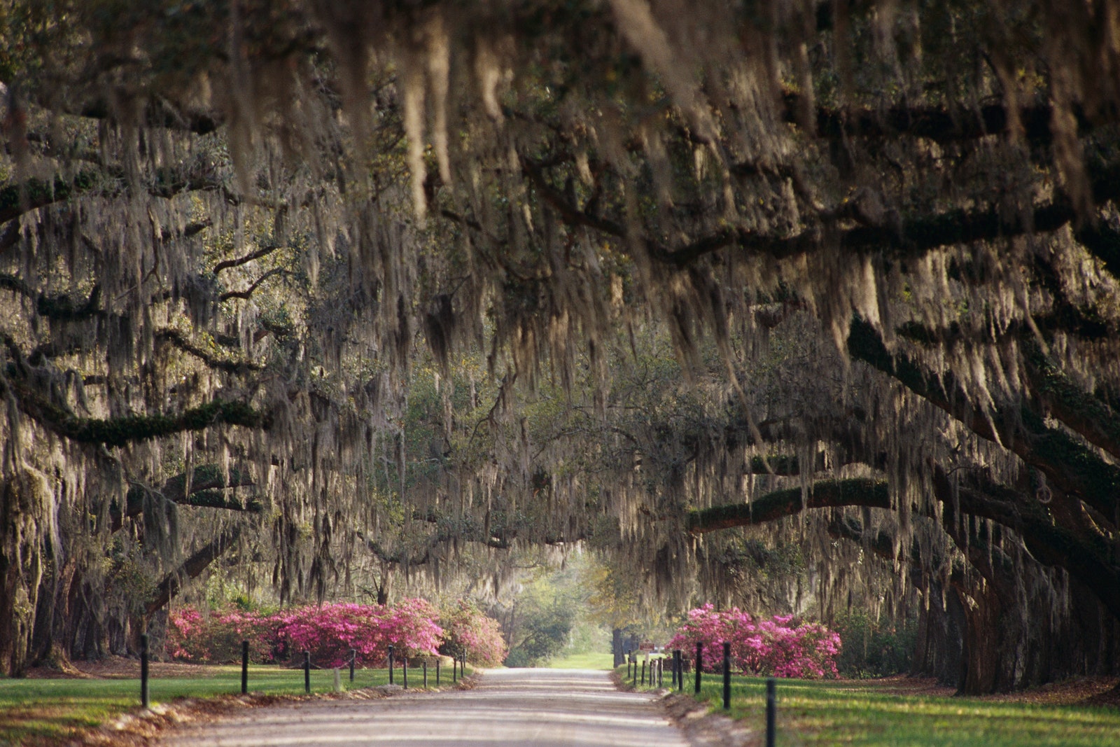 An Ethical Guide to Plantation Tours