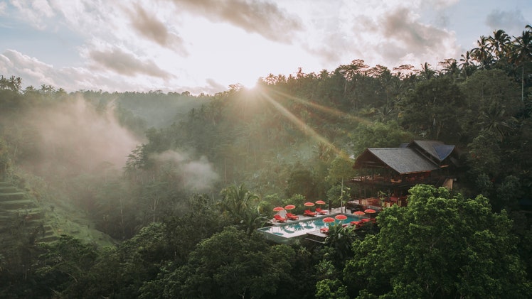 9 Best Places to Stay in Bali, From Private Island Hideaways to Tree Houses