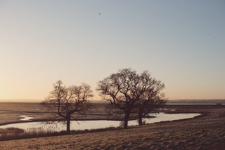 Elmley Nature Reserve