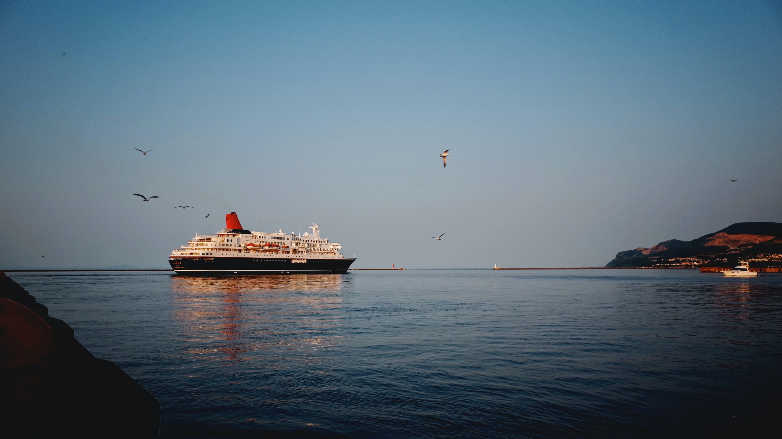 A cruise ship sailing.