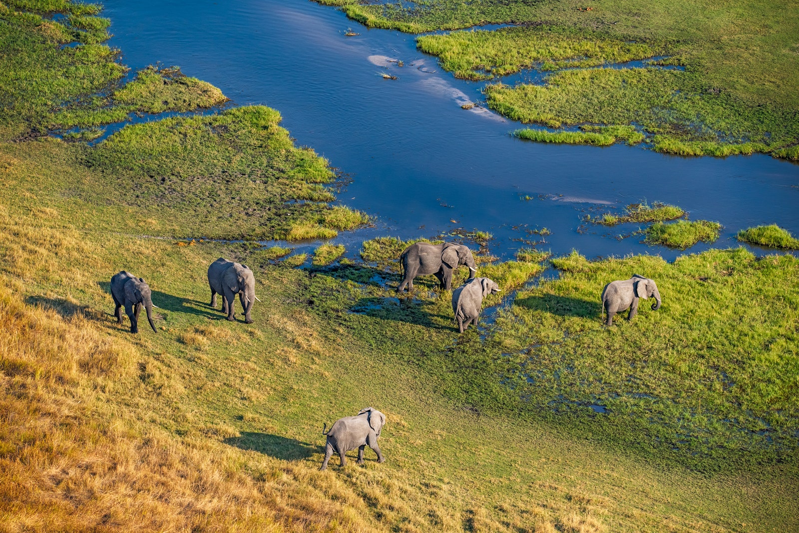 Sleeping Under the Stars on a Mobile Safari Through Botswana