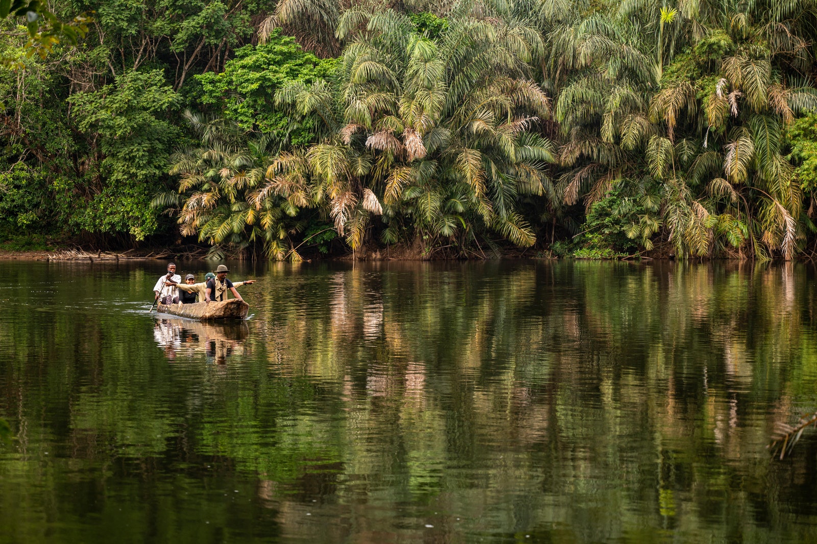 Sierra Leone is a country on the rise with new flights a first ever ecotourism circuit and national park lodges coming...