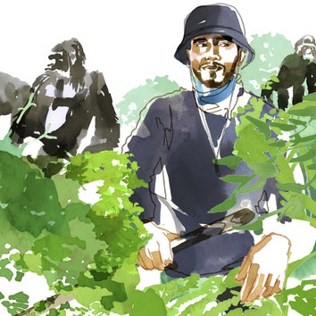 Lewis Hamilton on Sitting (Very) Still With Mountain Gorillas
