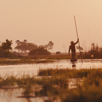 An Expedition in the Okavango Delta Showcases Botswana's Magnificence&-and Vulnerabilities