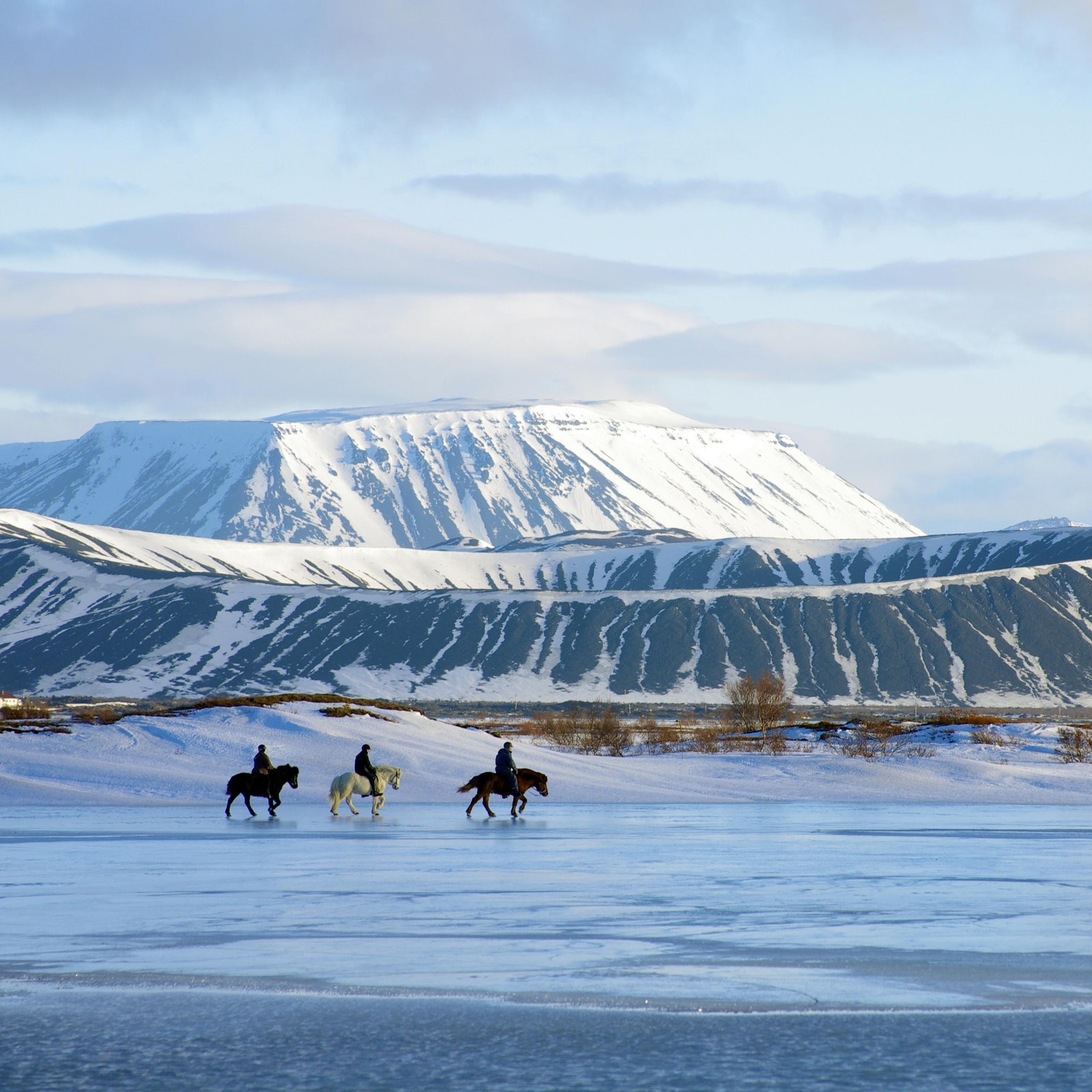 The 28 Best Things to Do in Iceland, From Puffin Spotting to Bread Baking