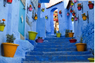 blue stairs with potted plants