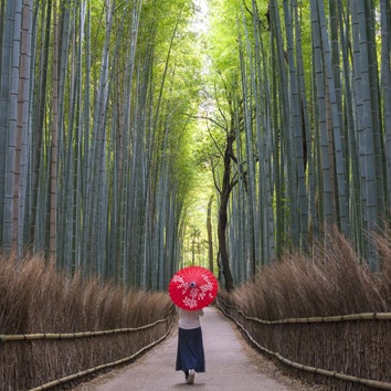 71 Beautiful Streets Around the World, From Kyoto to San Francisco