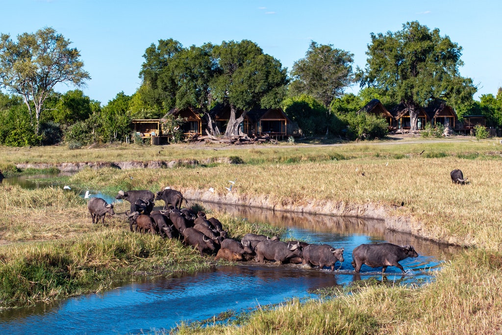 Tawana Lodge: First In