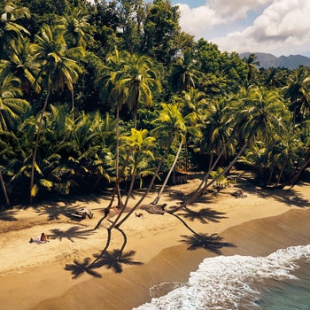 This Caribbean Island Is Back From the Brink&-and Ready To Share Its Treasures With the World