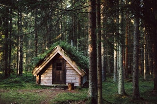 Ostergotland Sweden  Ulrika Krynitz and Håkan Strotz have been running a farm here at Odeshög since 1993 and their...