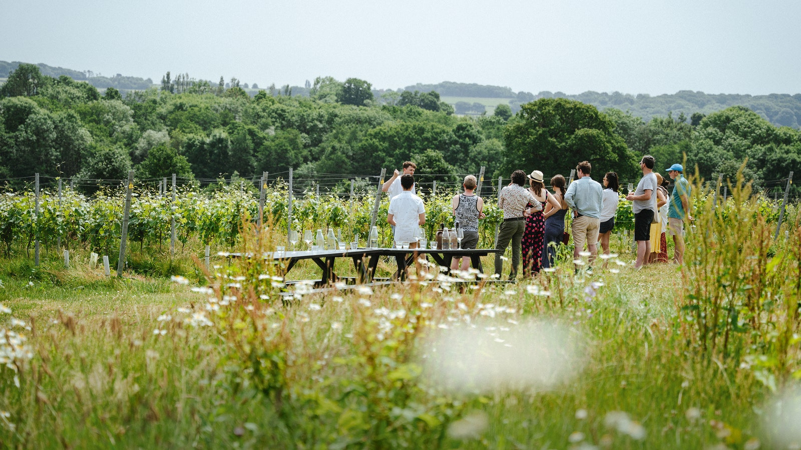 The unsung hero of the wine world &#8211; a look into the rise of English vineyards