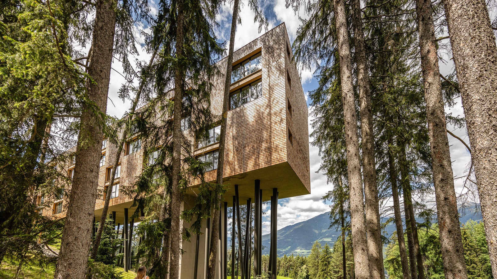 My Arbor, Plose, South Tyrol hotel review