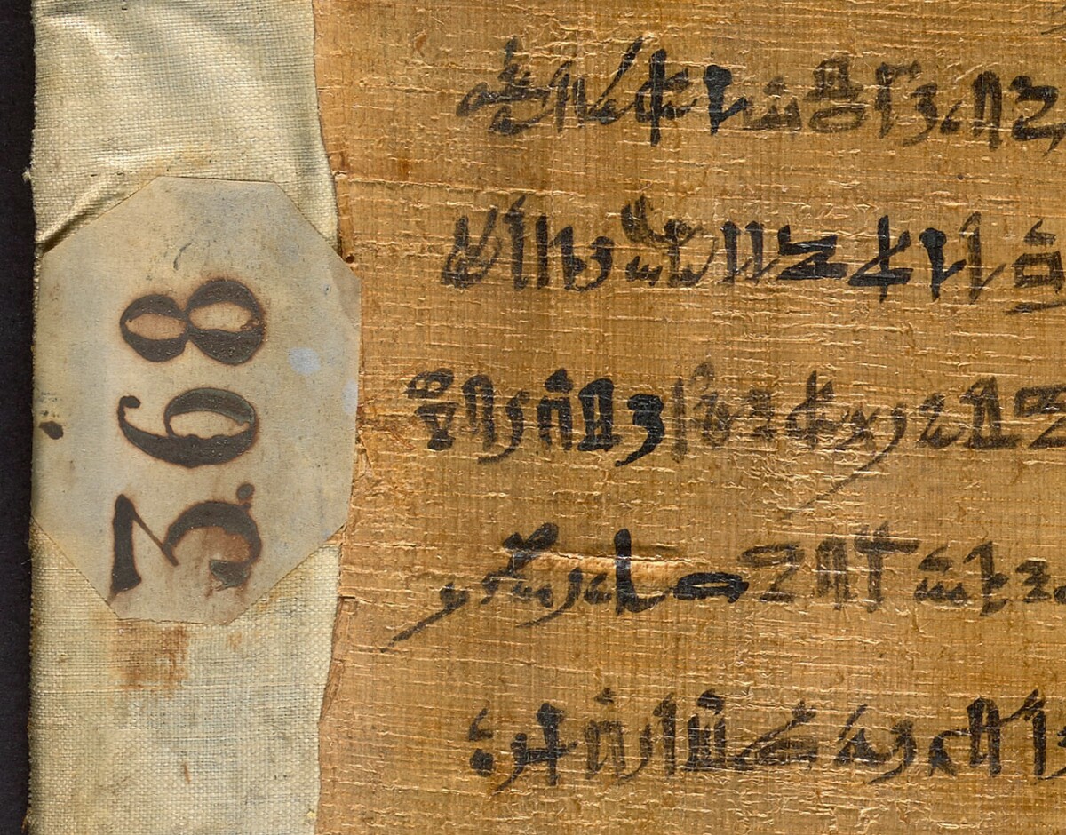 Close-up of papyrus with Egyptian script on the right side, and the number 386 printed on the left side