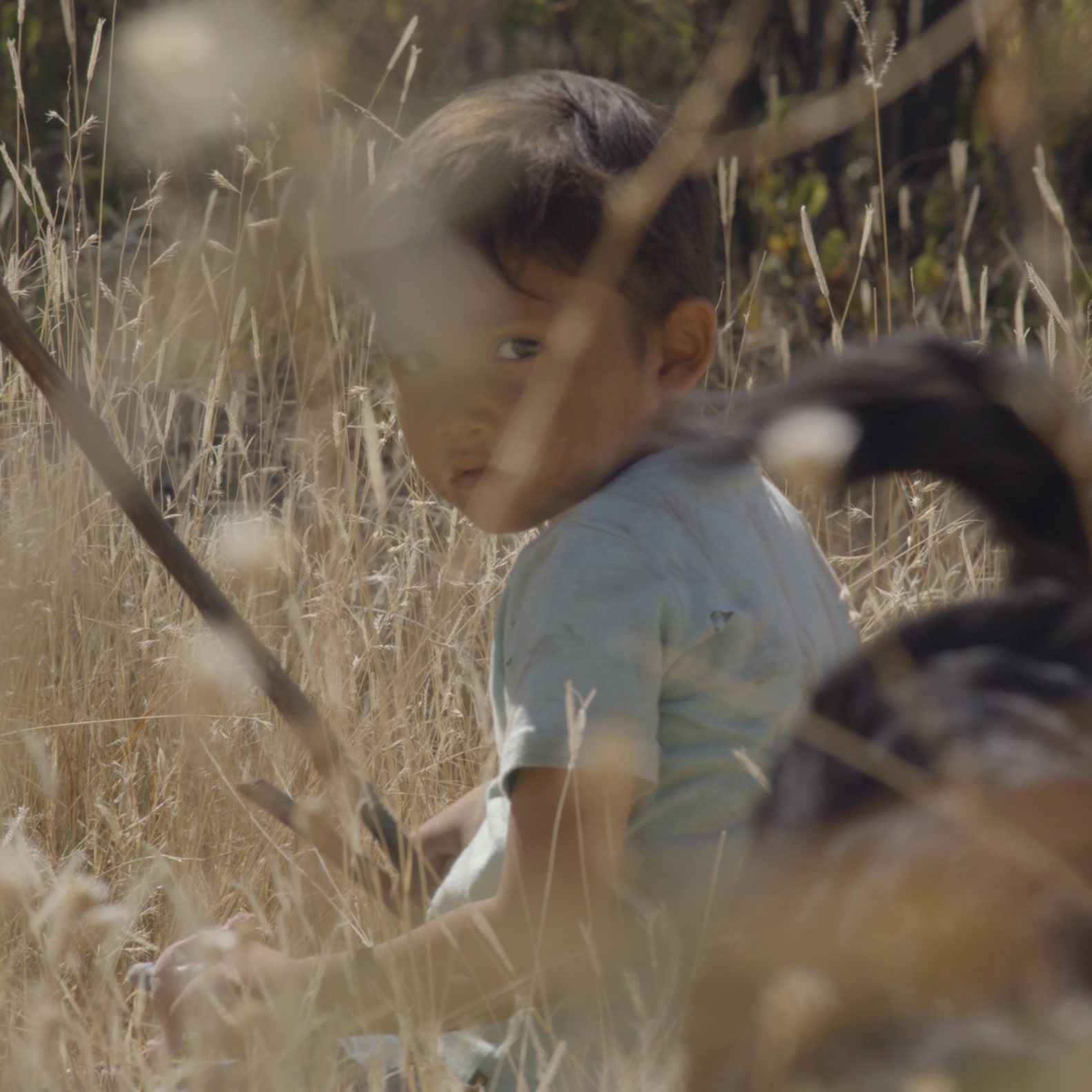 ‘Sujo’, el retrato audiovisual de México de Astrid Rondero y Fernanda Valadez que tienes que ver