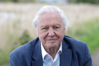 Image may contain Clothing Suit Overcoat Coat Apparel Human Person and David Attenborough