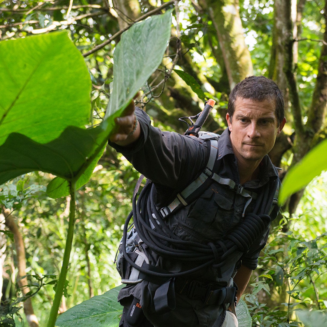 At home with Bear Grylls: “I often cook with my machete”