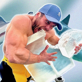 How to eat, train and swim like a shark