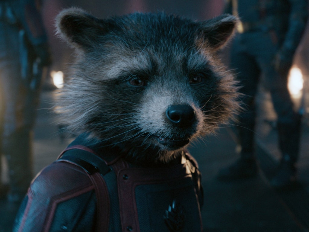 How Rocket Raccoon (and Bradley Cooper) Became the MCU’s Secret Weapon