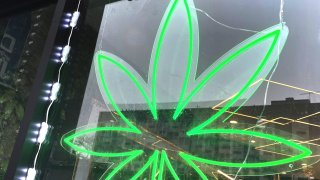 Green neon Cannabis Leaf in the window of an unlicensed smoke shop selling marijuana in New York City. (Photo by: Deb Cohn-Orbach/UCG/Universal Images Group via Getty Images)